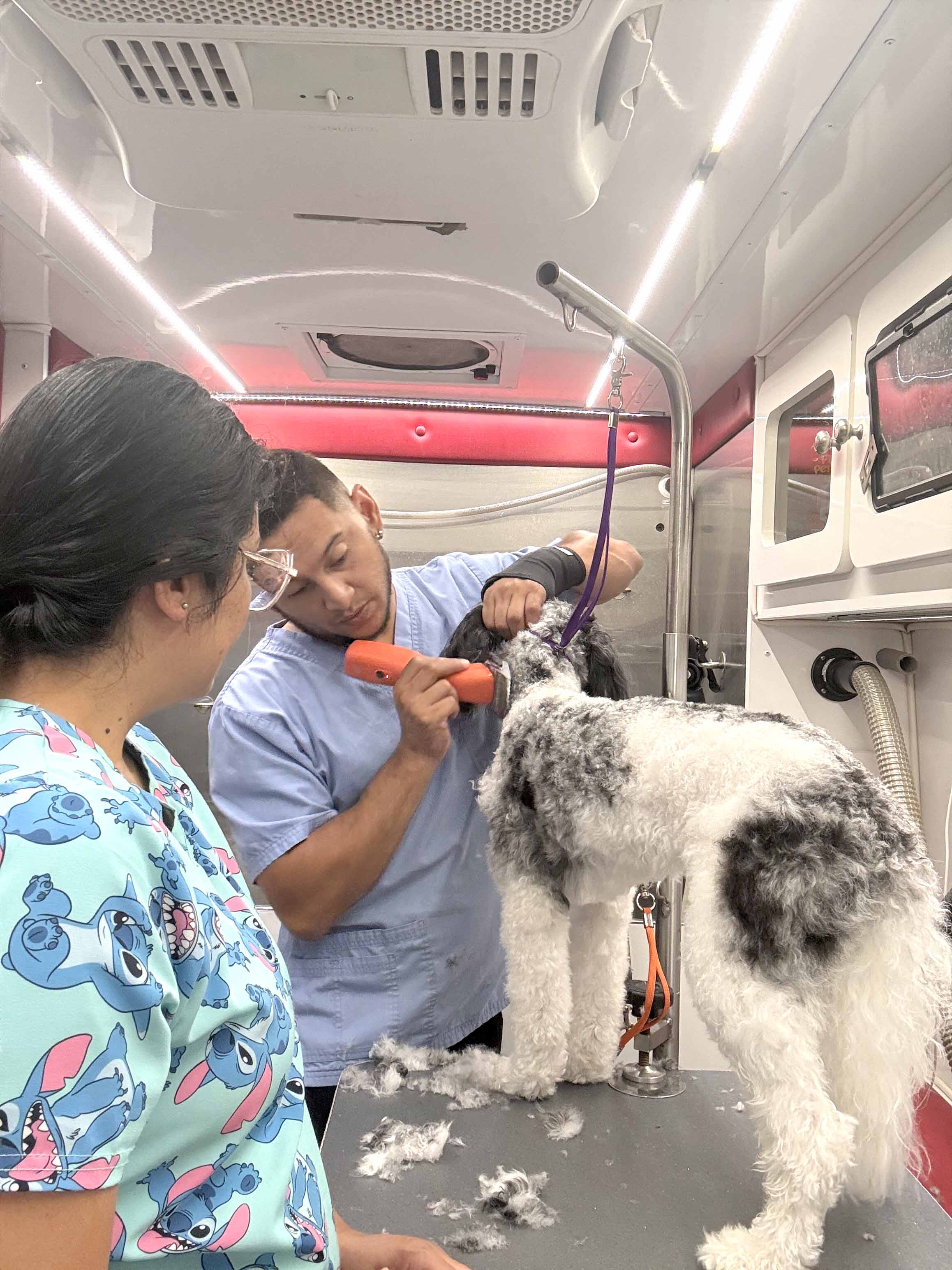 Mentorship photo showing the grooming experience in practice