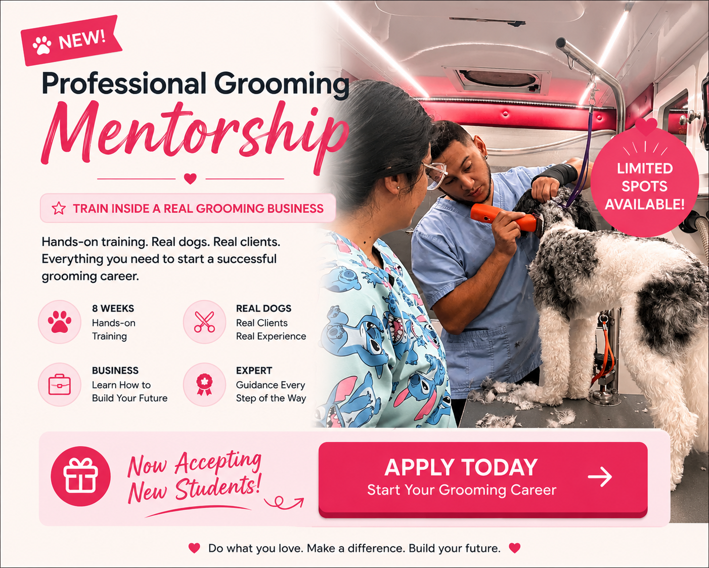Fluffy Friends mentorship opportunity
